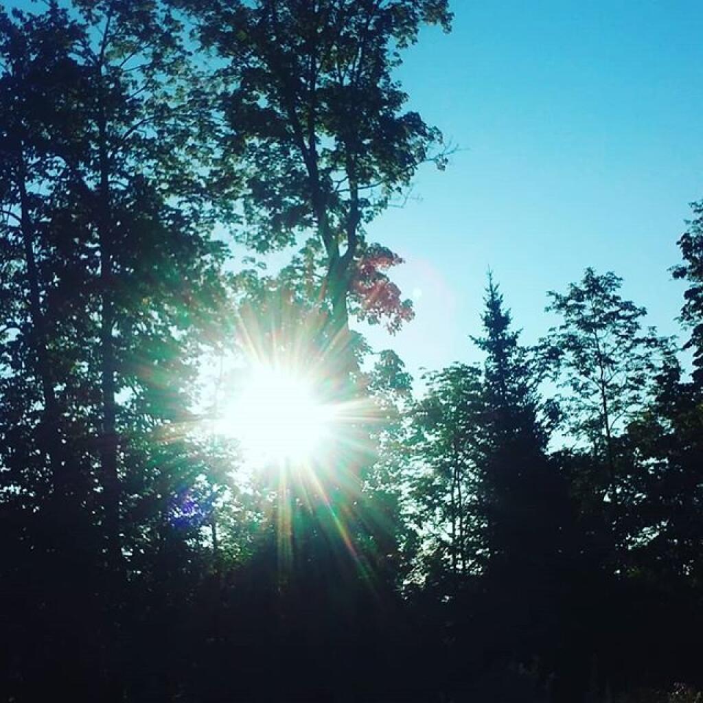 Photo: Sunshine