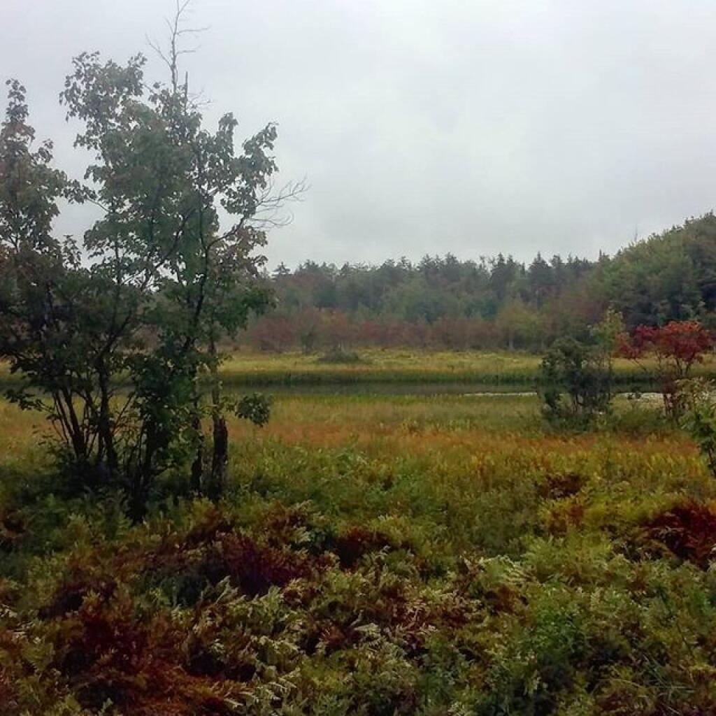 Photo: Rainy day on the Sacanadaga