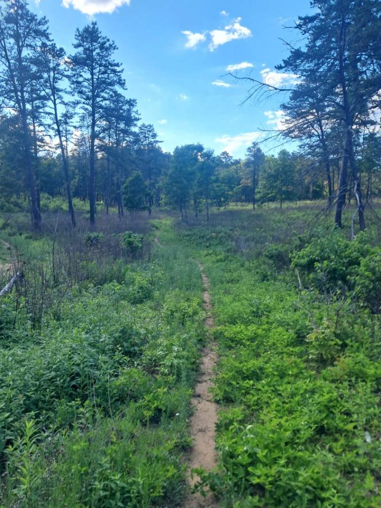 Photo: Side Trail [Expires June 30 2026]