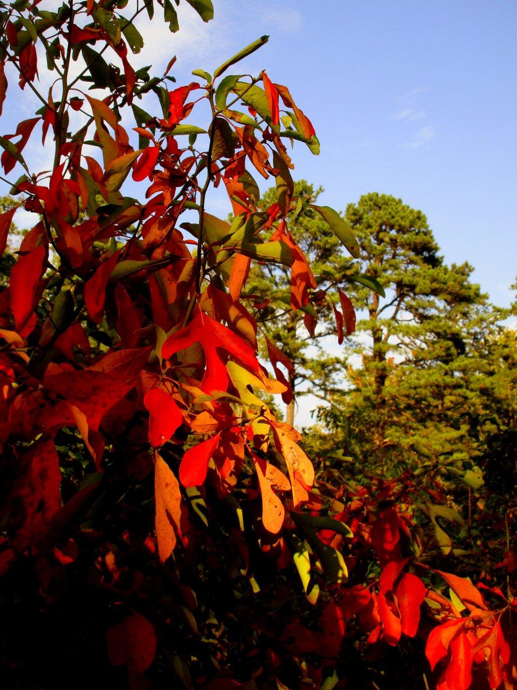 Photo: Changing Of The Seasons
