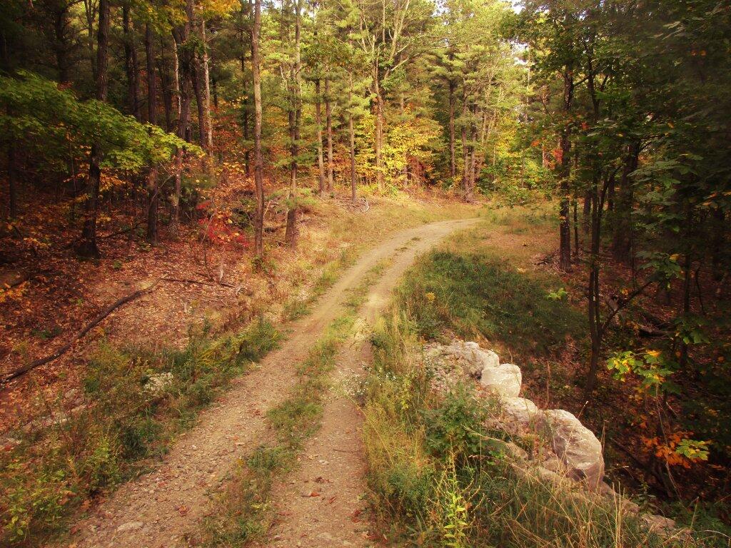Photo: Improved Road For Controlled Burns