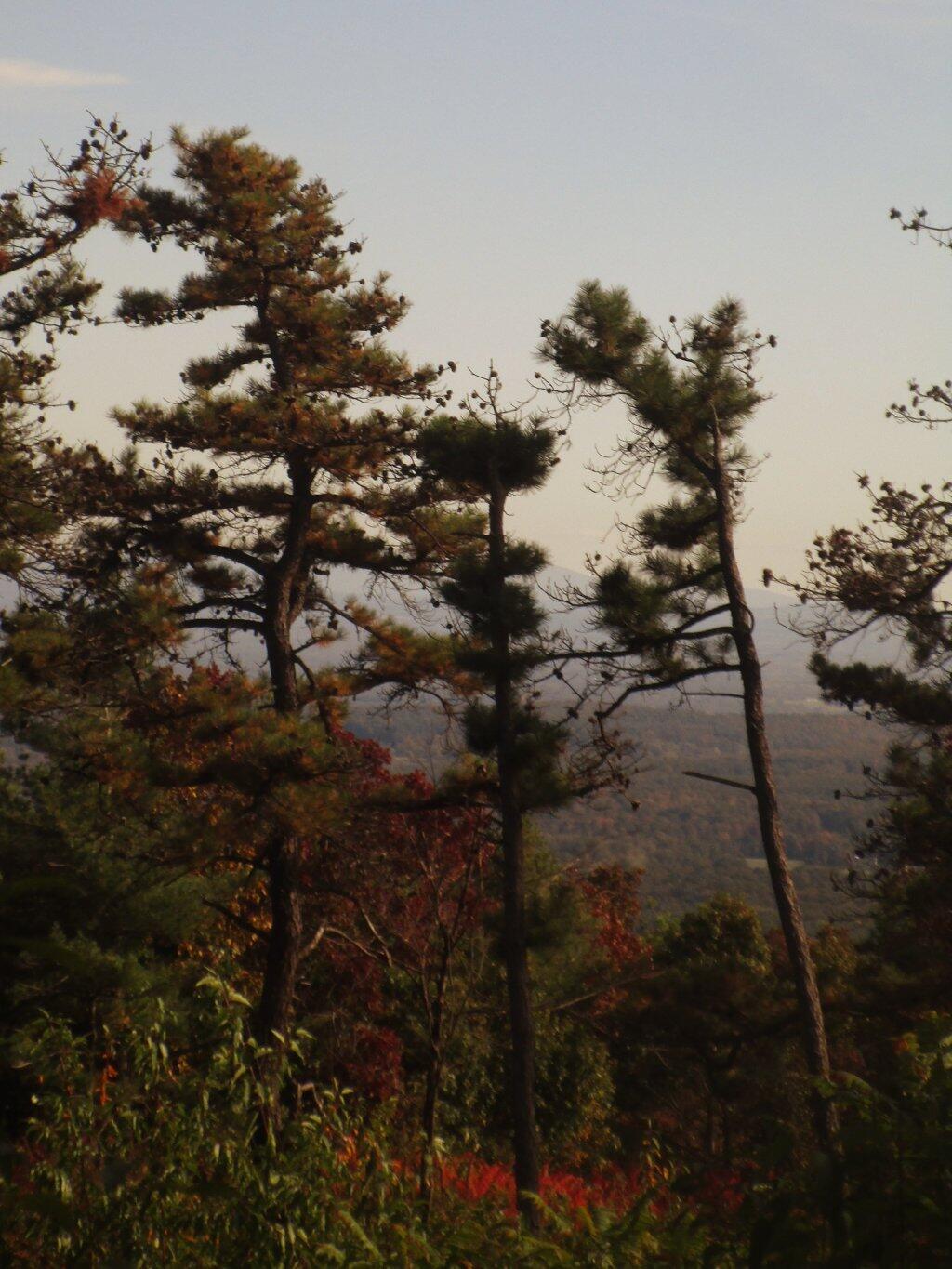 Photo: South
