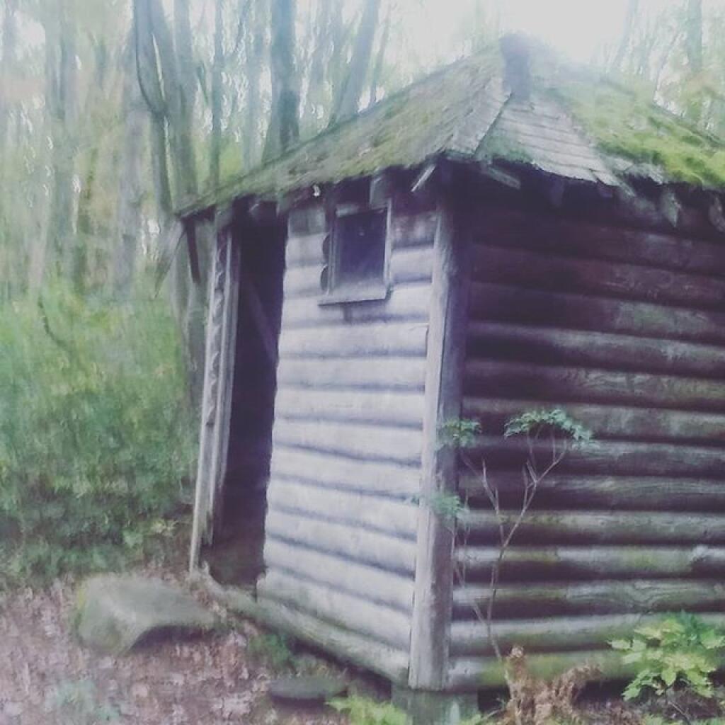 Photo: Shack on Coal Knob