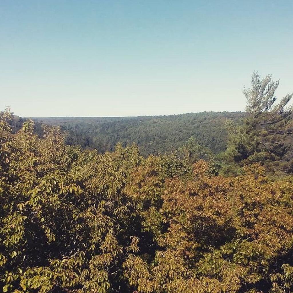 Photo: Tower view
