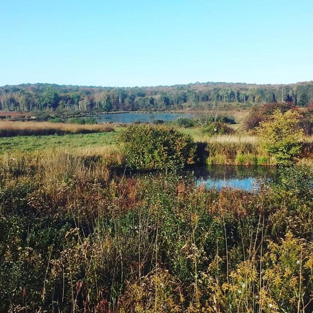 Photo: Ponds
