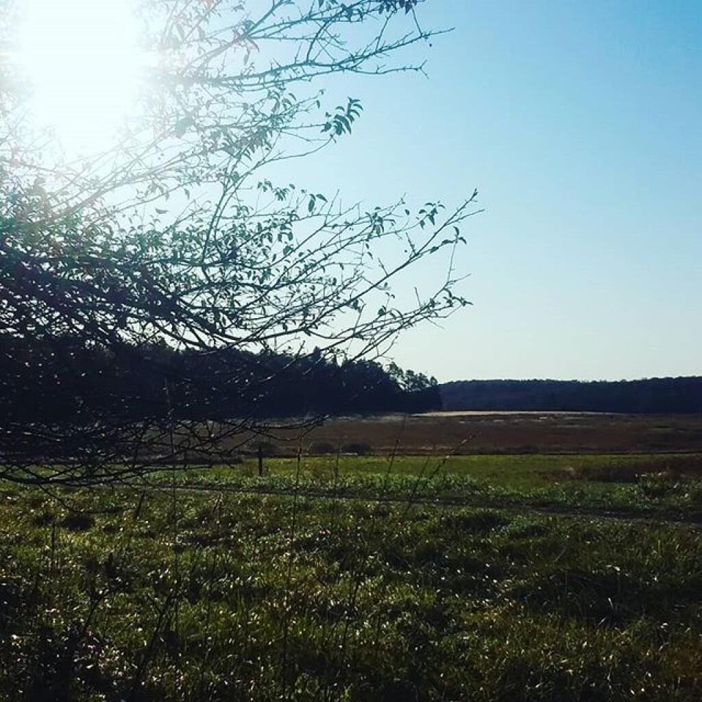 Photo: Sun