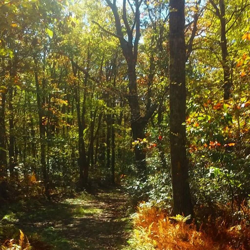 Photo: Stunningly beautiful day