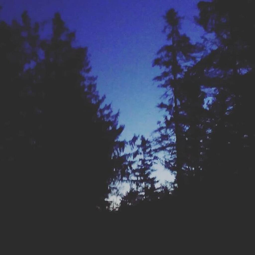 Photo: Dawn
