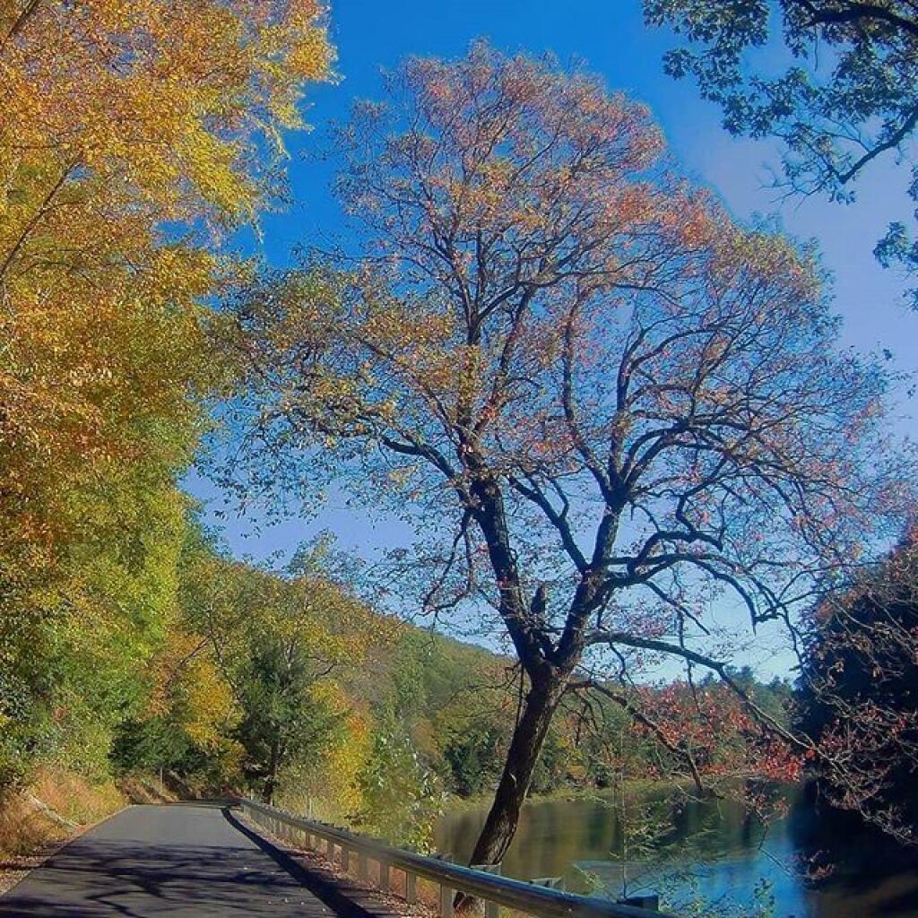 Photo: River Road