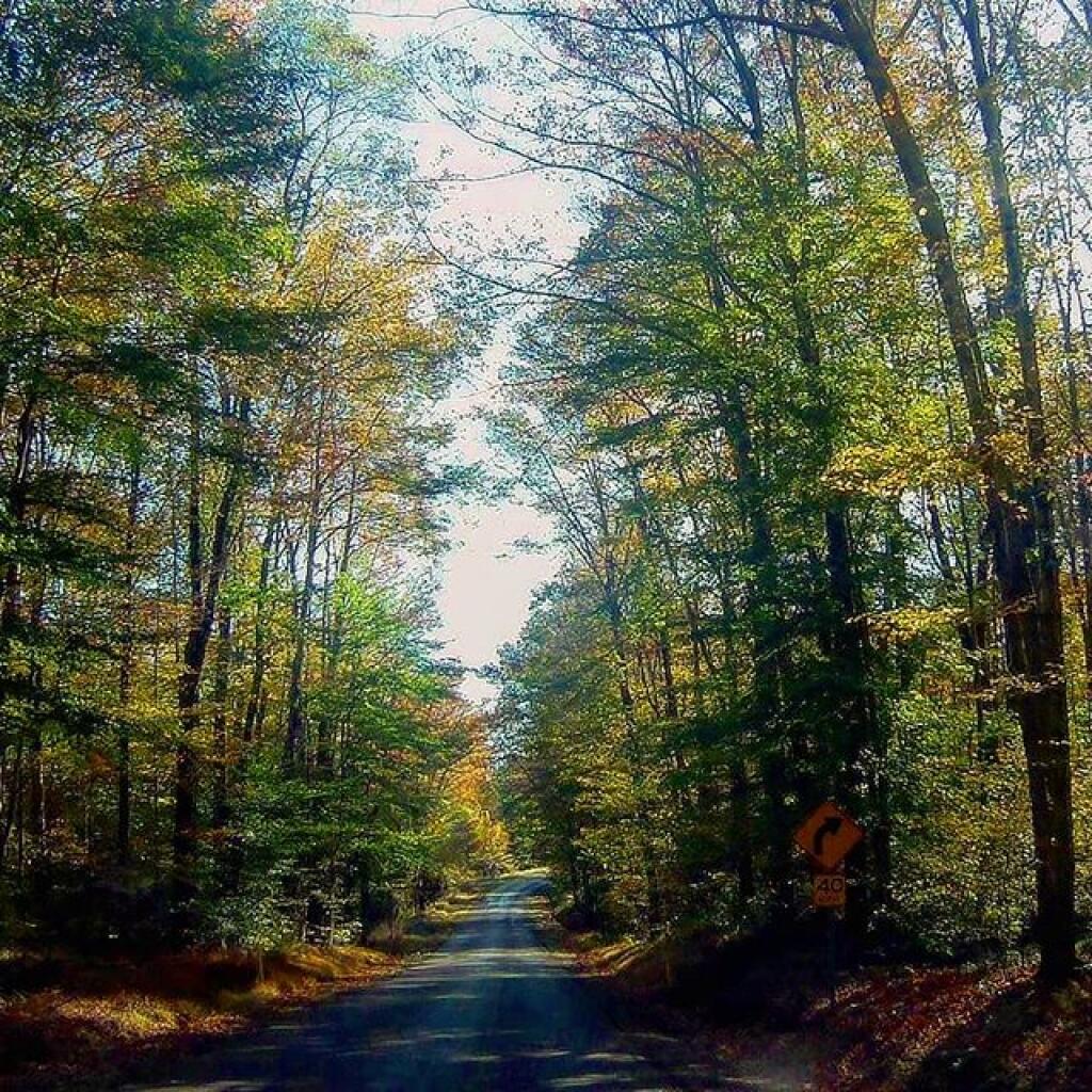 Photo: Loleta in Autumn