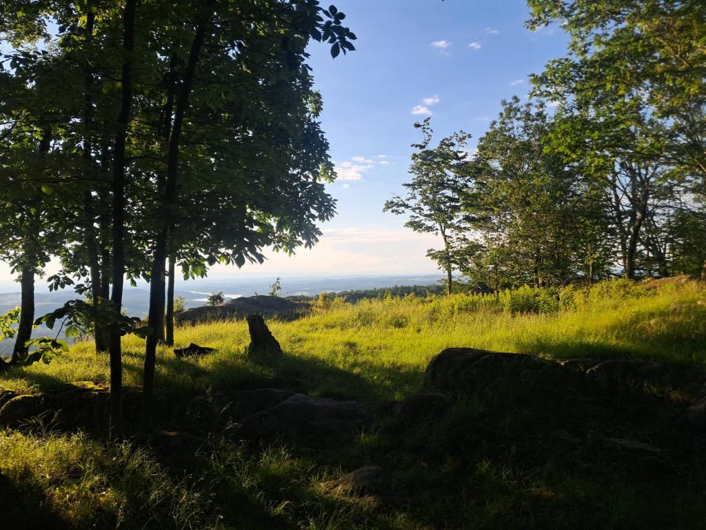 Photo: Untitled [Expires July 11 2026]