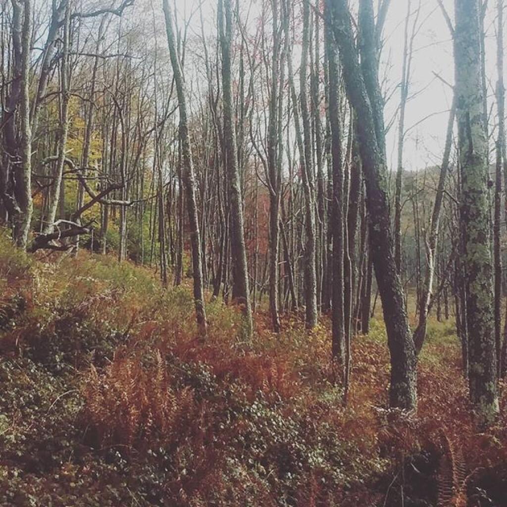 Photo: Marsh Trail