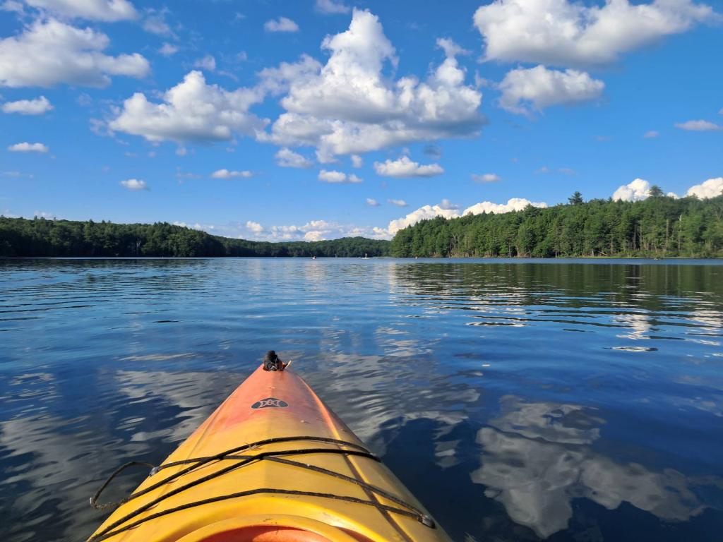 Photo: Great day for a paddle [Expires July 11 2026]