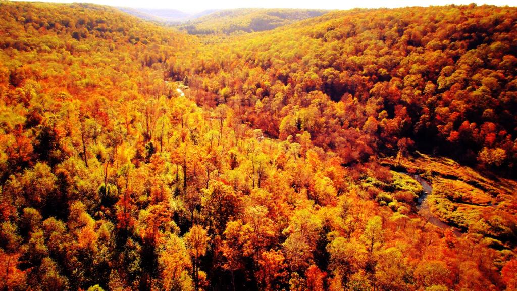 Photo: Kinzua Gorge