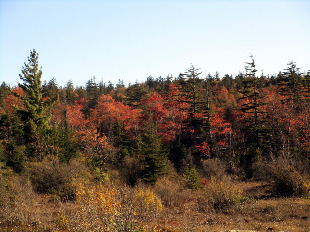 Photo: Autumn Colors