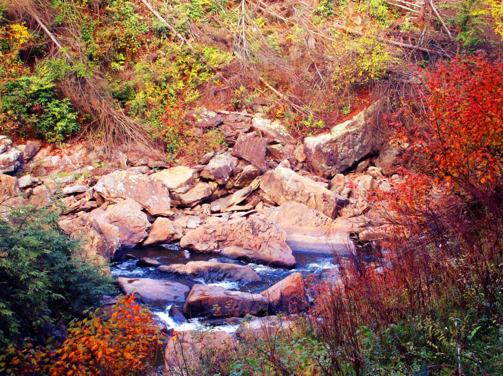 Photo: Below Blackwater Falls