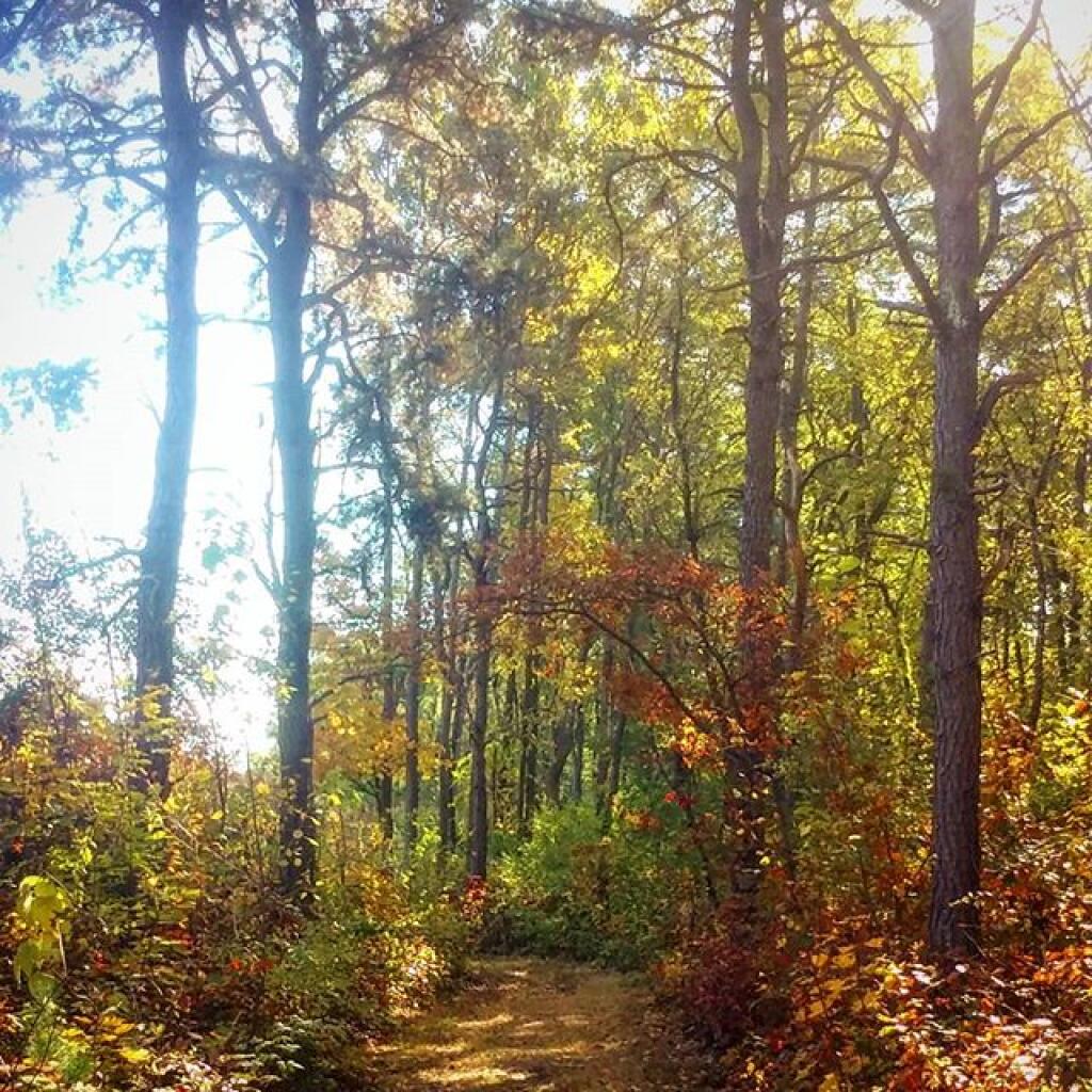 Photo: Walk
