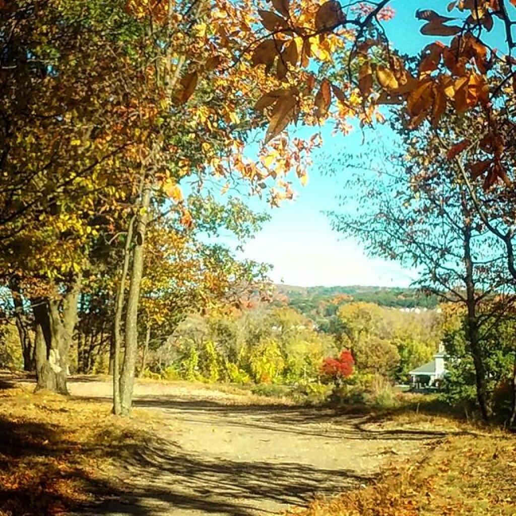 Photo: Parameter Trail