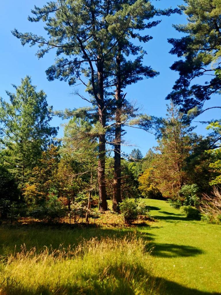 Photo: Arboretum [Expires July 12 2026]