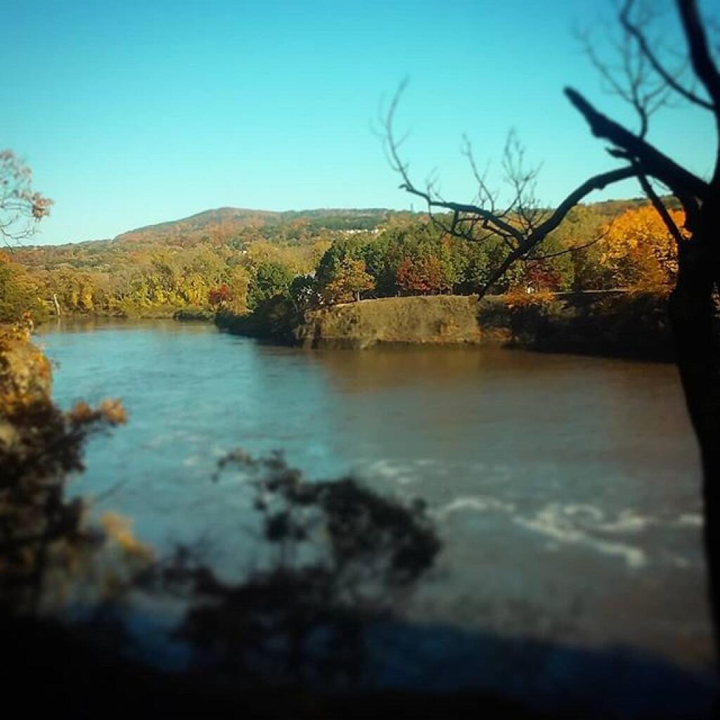 Photo: Lansingburgh