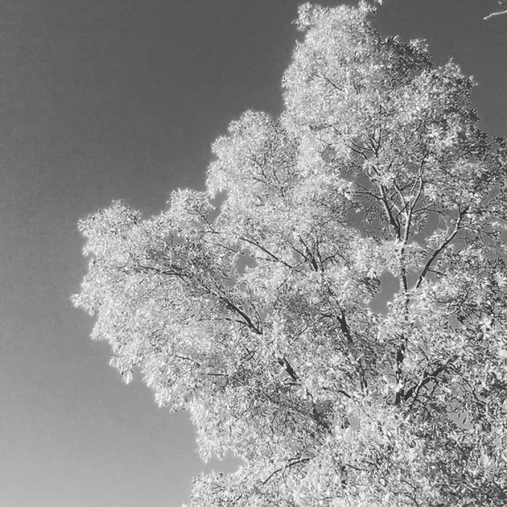Photo: Colors don't last