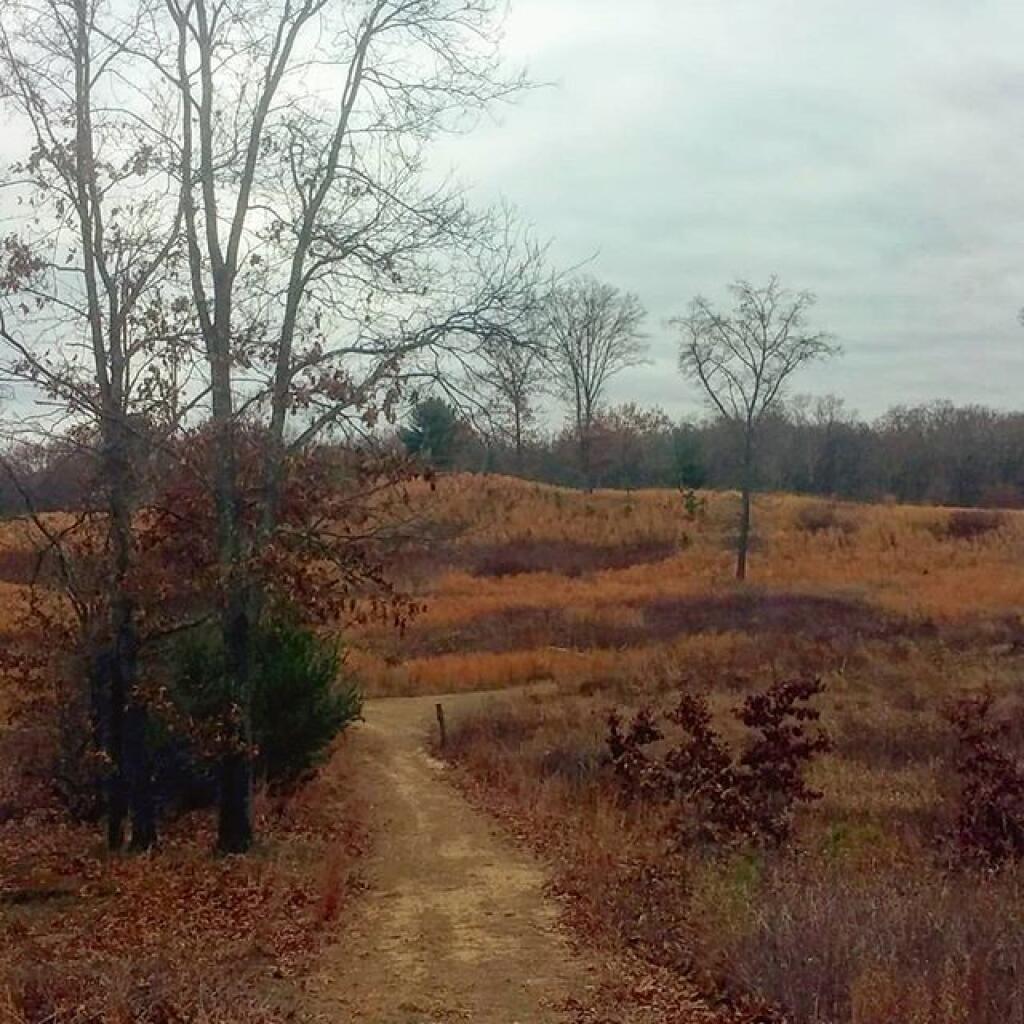Photo: Browns