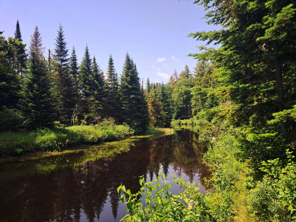 Photo: Hot Old Summer Day on East Canada Creek [Expires July 21 2026]