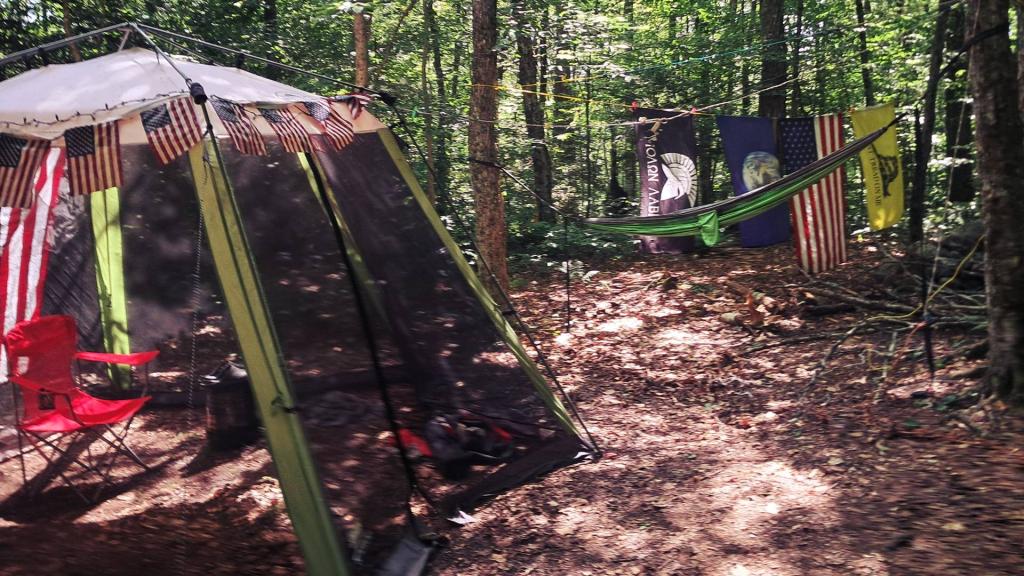Photo: Sheltering from the Bugs [Expires July 21 2026]