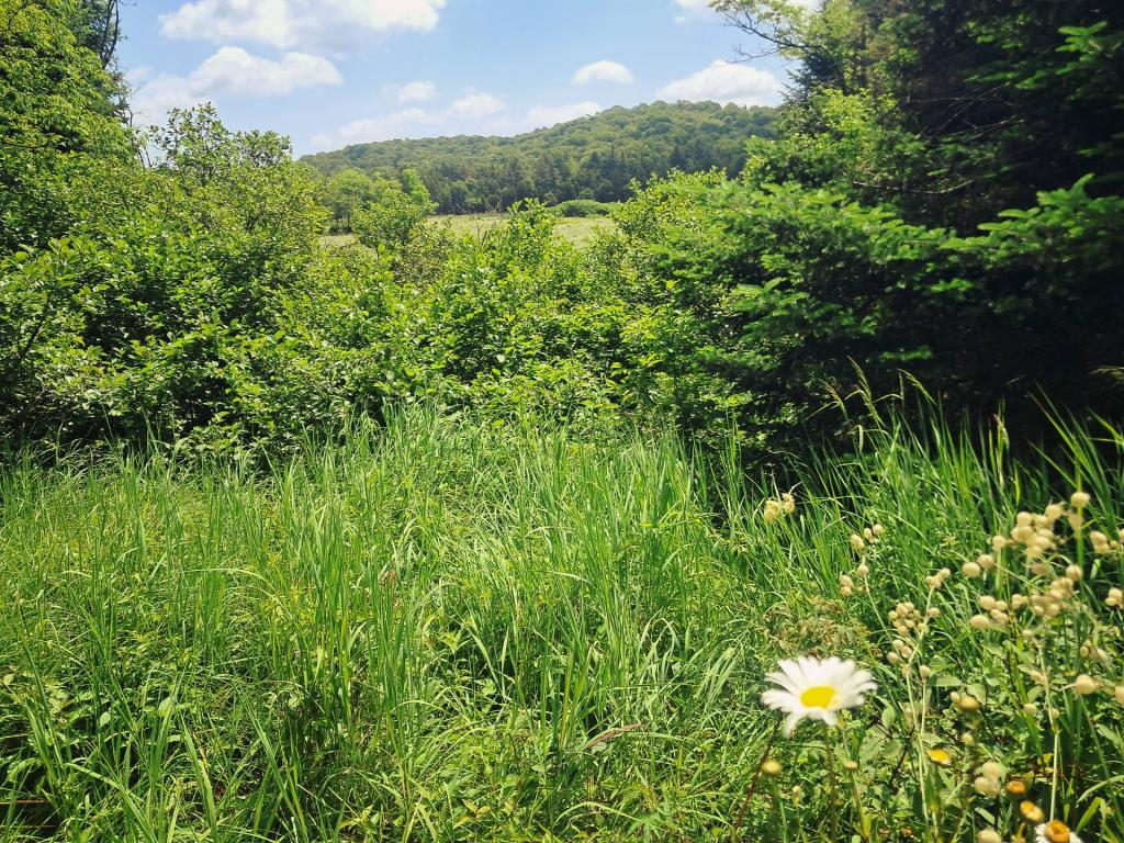 Photo: Powley Place [Expires July 22 2026]