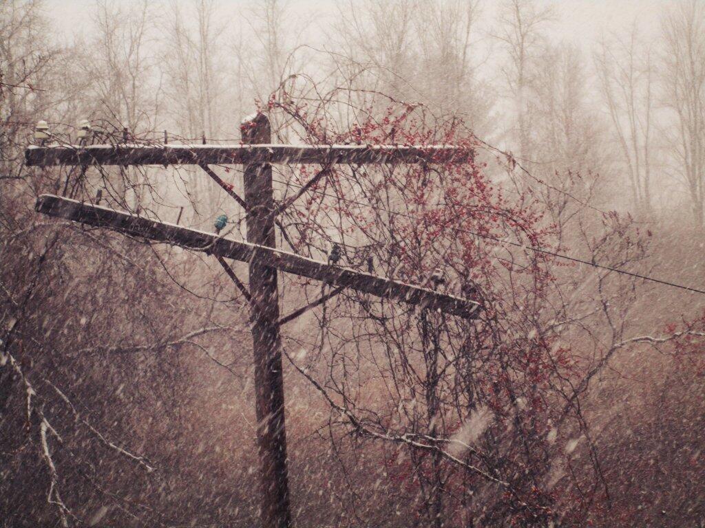 Photo: Telegraph Lines
