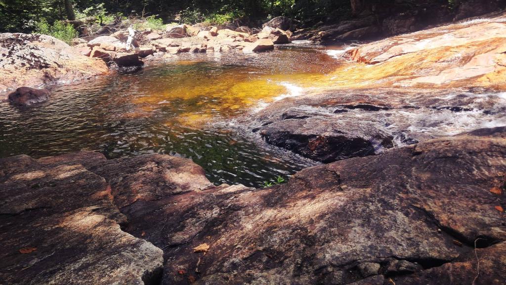 Photo: Pool Below Goldmine Stream Falls [Expires July 23 2026]