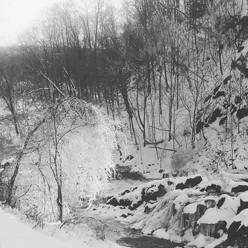 Photo: Frozen