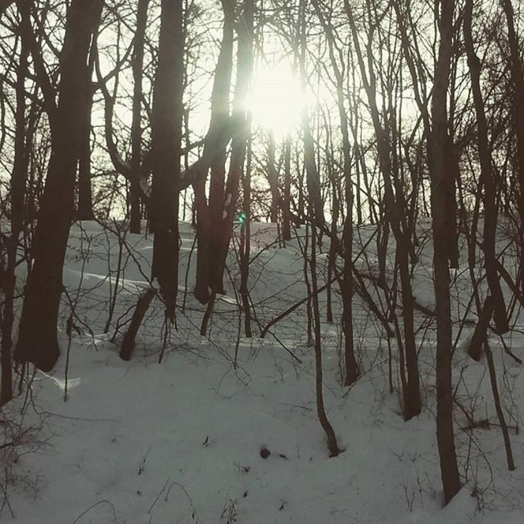 Photo: Hill