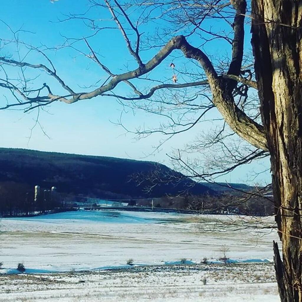 Photo: Winter again
