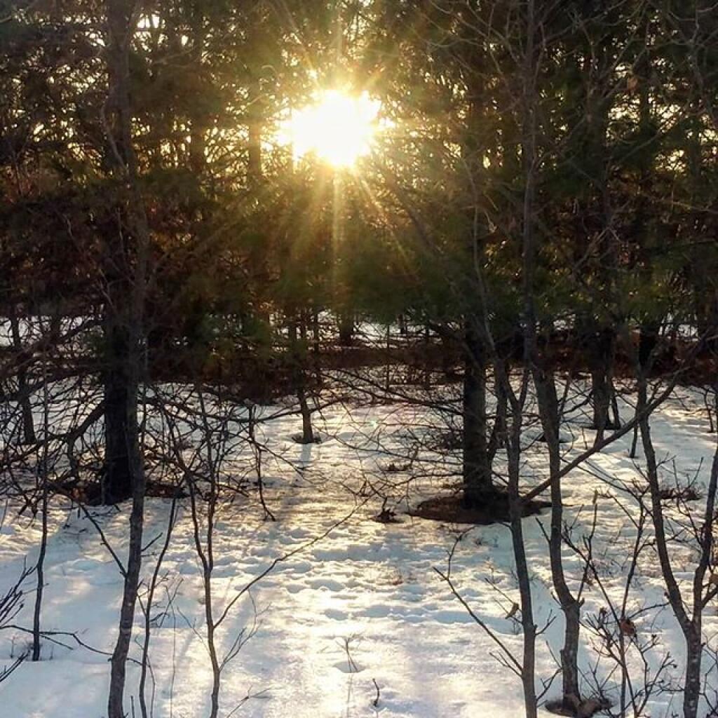 Photo: Afternoon sun on the snow