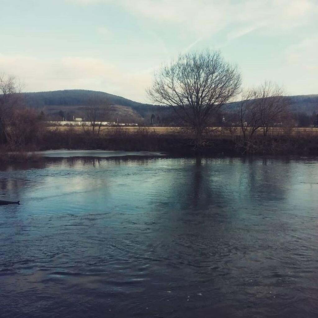 Photo: East