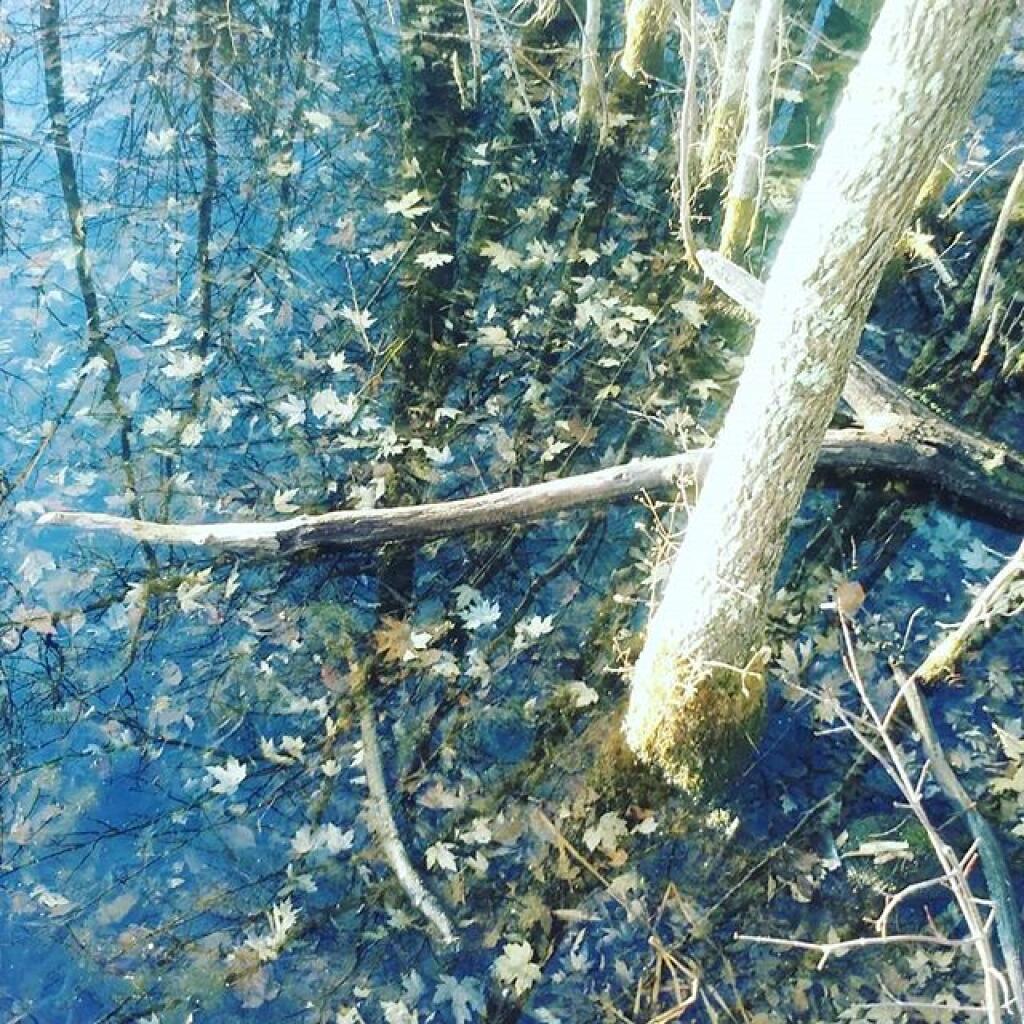 Photo: Wet