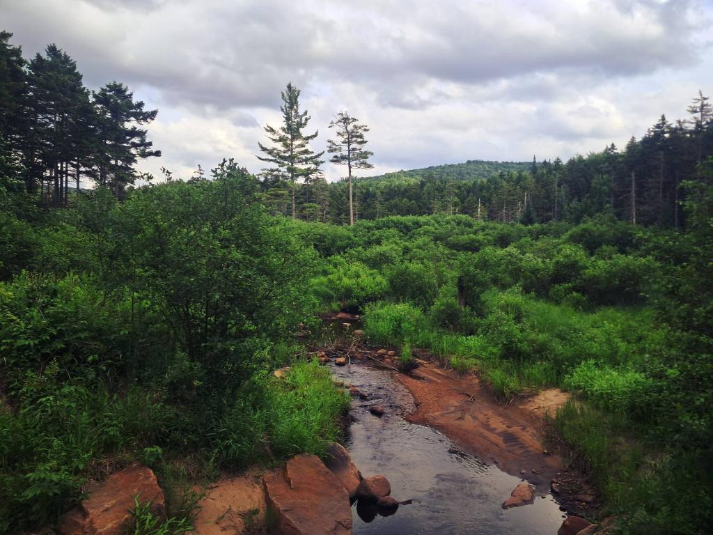 Photo: Along Old Indian Lake Road [Expires July 24 2026]