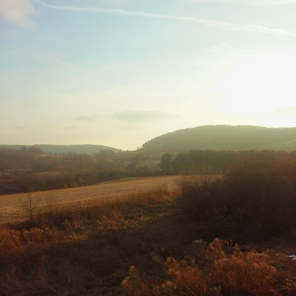 Photo: I always like the softness of the early winter light