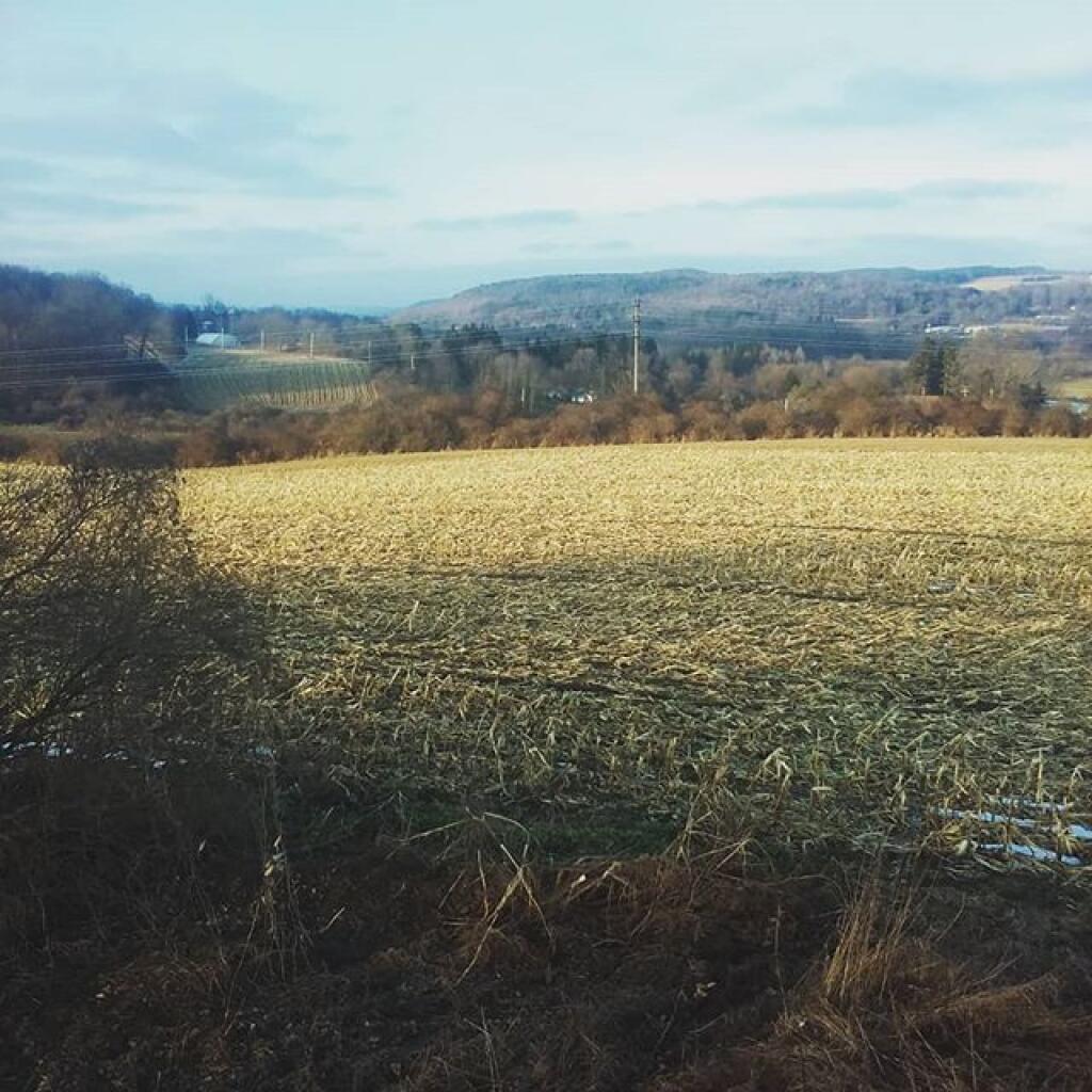 Photo: Wilderness is beautiful but so is a working landscape