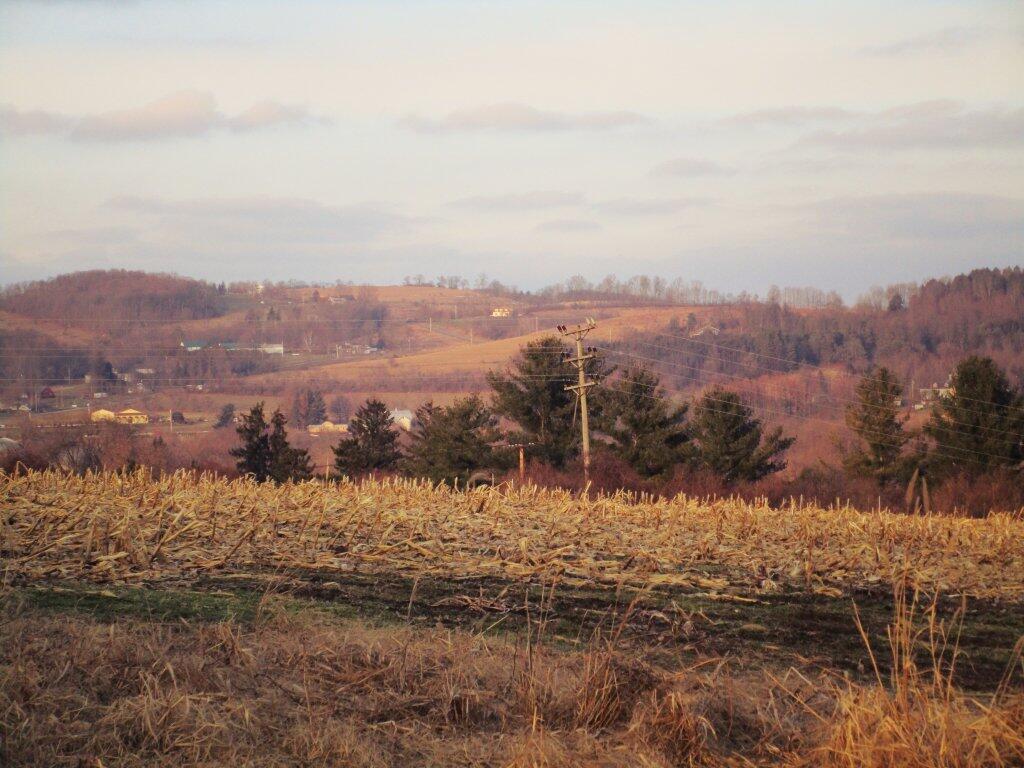 Photo: December At Rogers