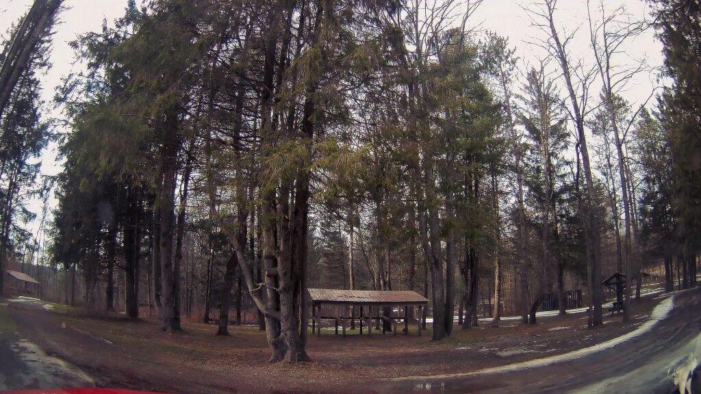 Photo: Moscow Hill Horse Camp