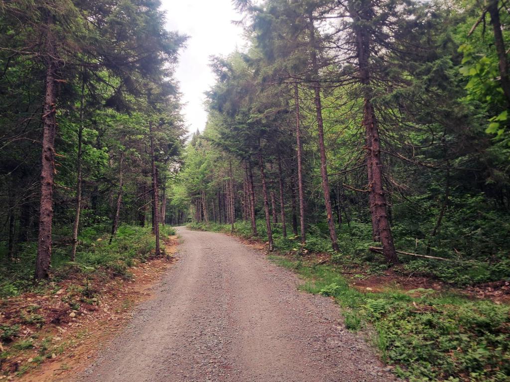 Photo: Beaver Pond Road [Expires July 24 2026]