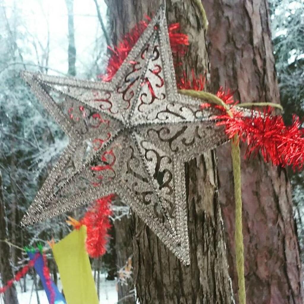 Photo: Star