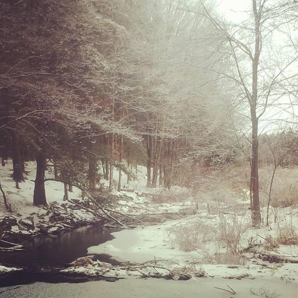 Photo: Definitely pretty with the ice on the trees