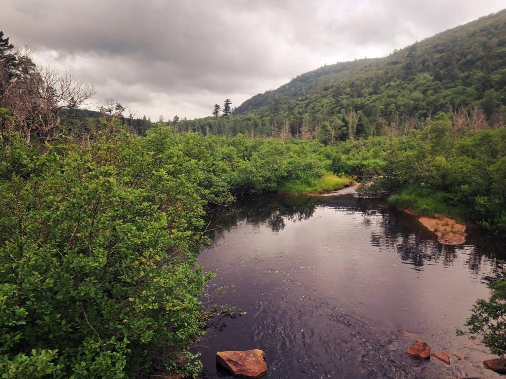 Photo: Summner Stream [Expires July 24 2026]