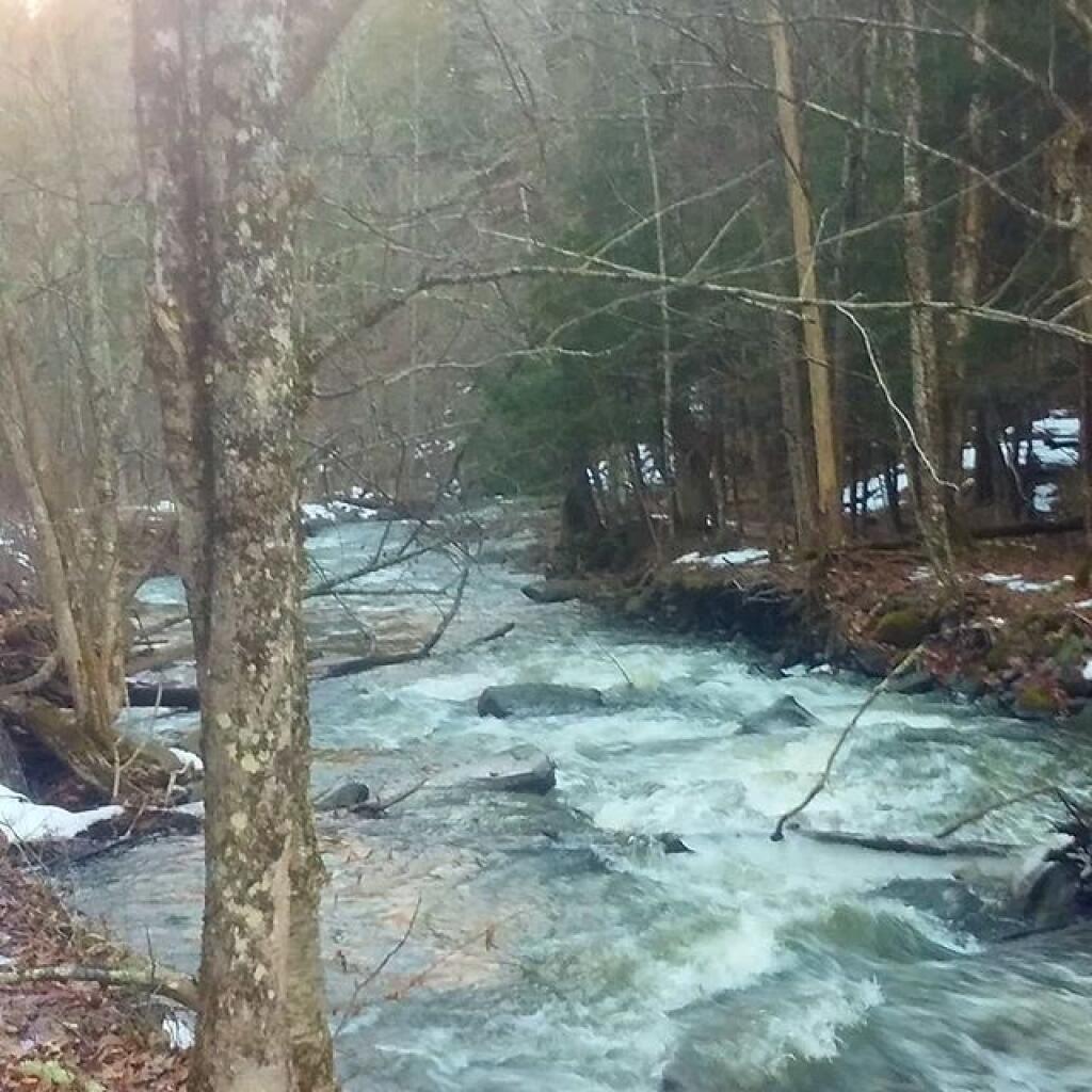 Photo: Good flow today