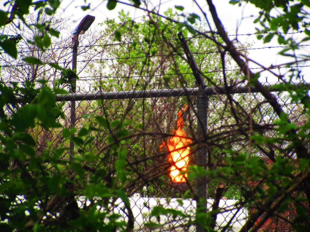 Photo: Flare