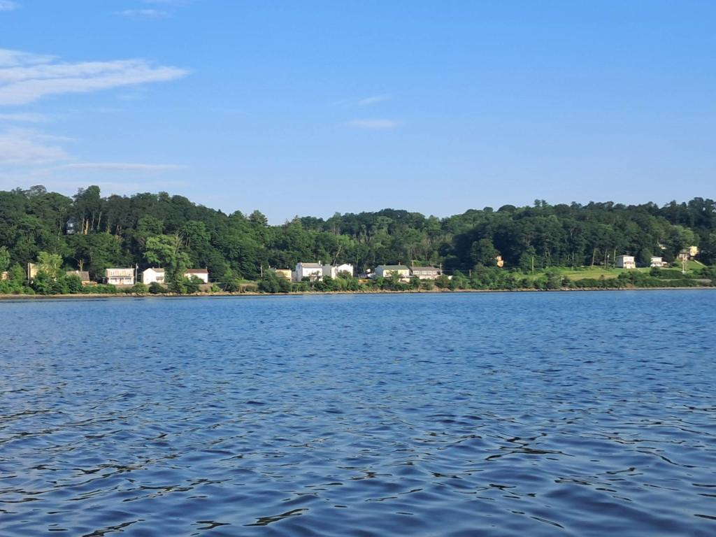 Photo: Untitled [Expires July 26 2026]
