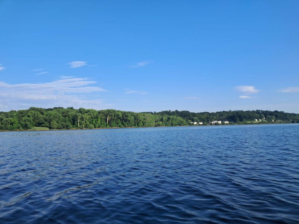 Photo: Untitled [Expires July 26 2026]